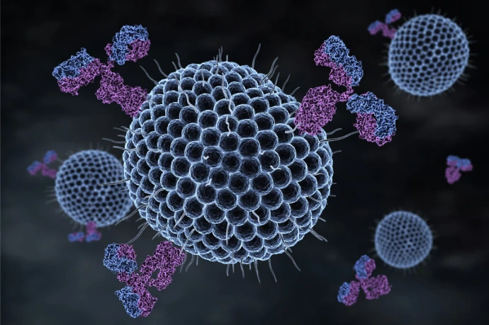 Cell Biology and Biomaterial Interactions